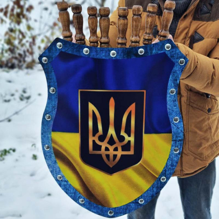 Набір шампурів подарунковий "Щит"