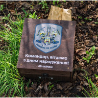Автоматический наливатор напитков 4,6,8,10 и 12 рюмок - эффектный подарок для друзей и коллег